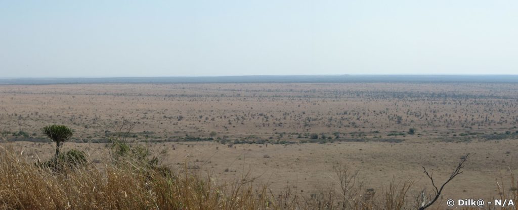 Le Parc Kruger