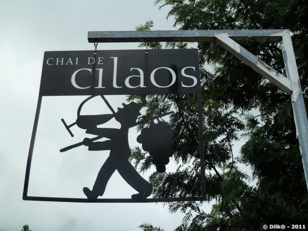 le vin de Cilaos est réputé