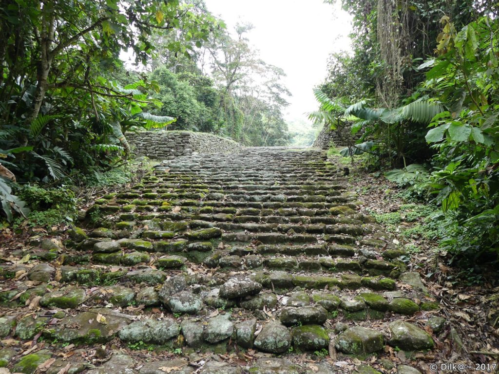 chaussée empierrée (Monumento Nacional Guyabo)