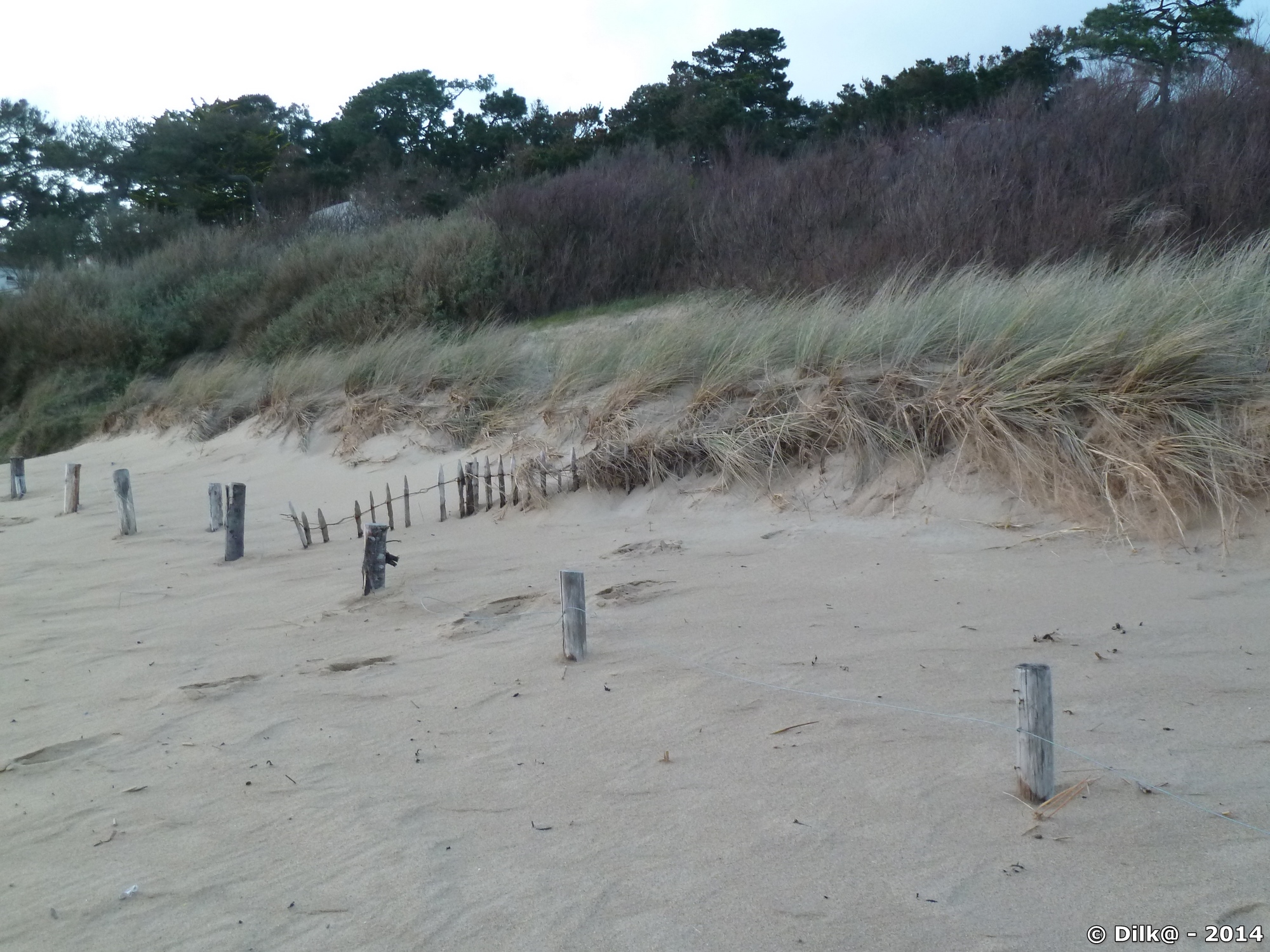 La dune et la plage se sont rejoint