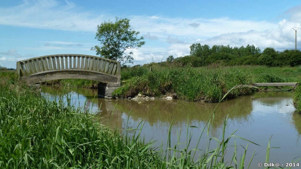 Petit pont sur des étiers dans les marais