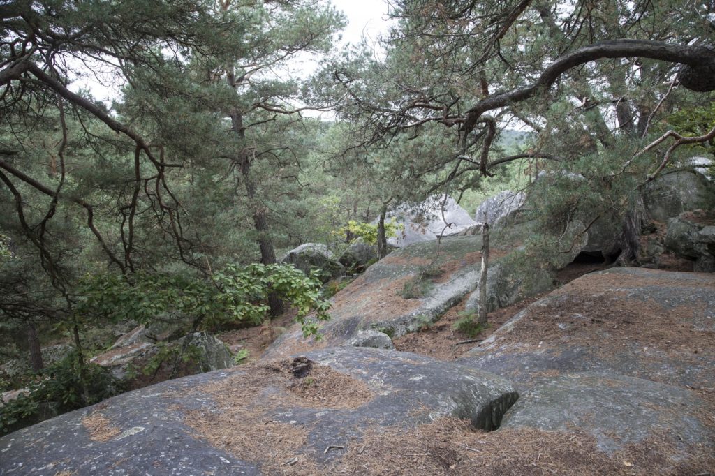Fontainebleau