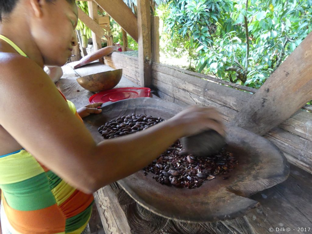 fèves de cacao concassées