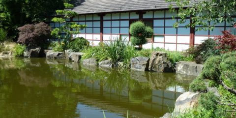 La jardin japonnais de l'île de Versailles