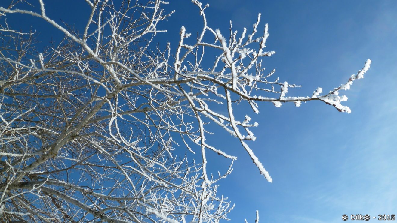 Givre du matin Voyager découvrir partager