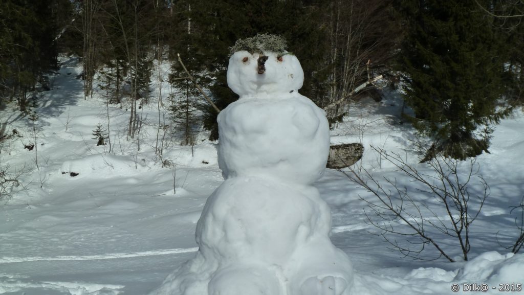 Bonhomme de neige (ou bonne femme de neige ?)