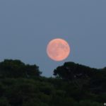 Super Lune après le coucher du soleil