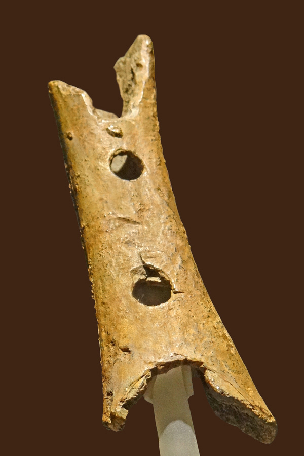 Flûte paléolithique (musée national de Slovénie, Ljubljana)
