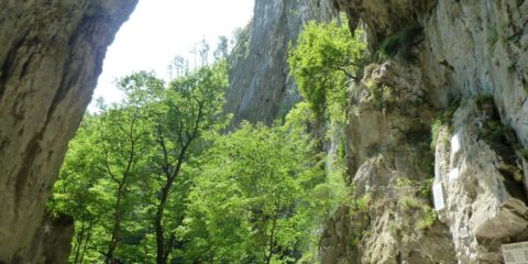 Les grottes de Škocjan