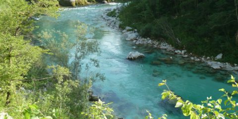 Les eaux vert émeraude de la rivière Soča