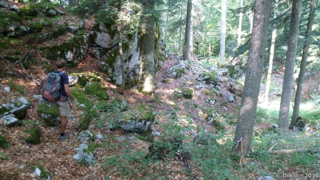 A la recherche de traces d'ours dans le massif de Borovška Gora