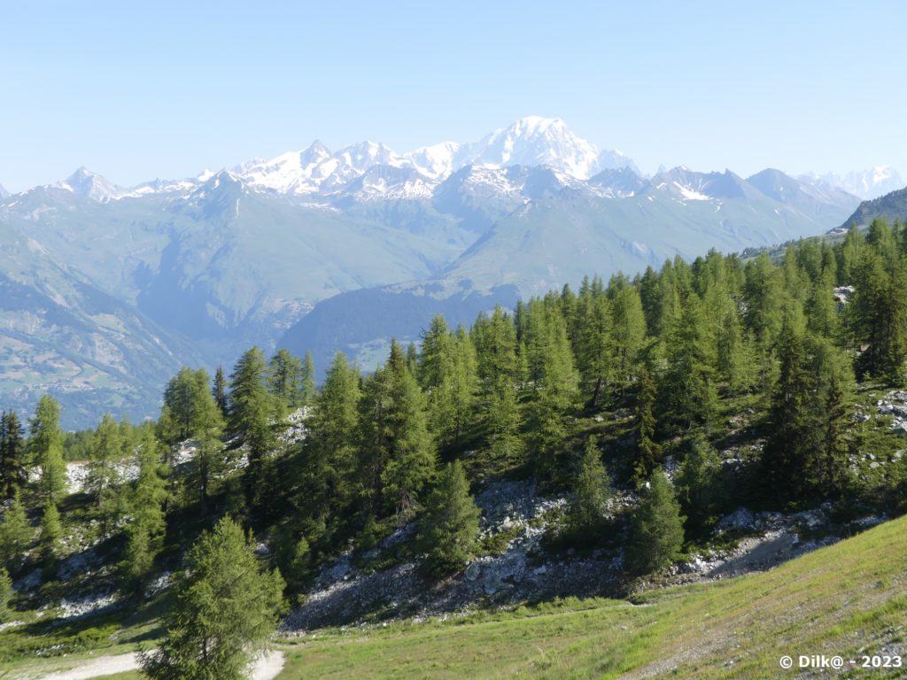 Le Mont-Blanc depuis le plateau du Rey