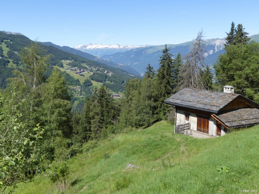 Chalet près de Ragairon et vue sur Monchavin (La Plagne)