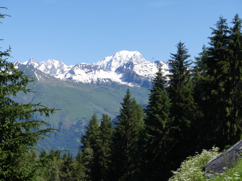 Le Mont Blanc