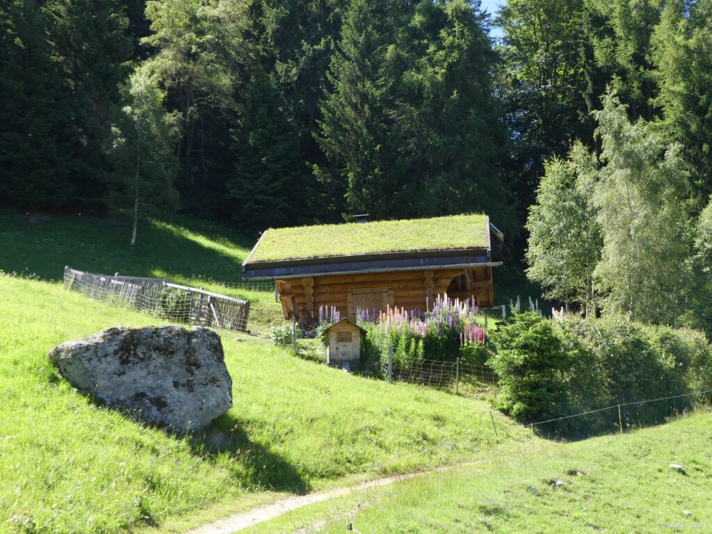 Chalet aux Charmettes