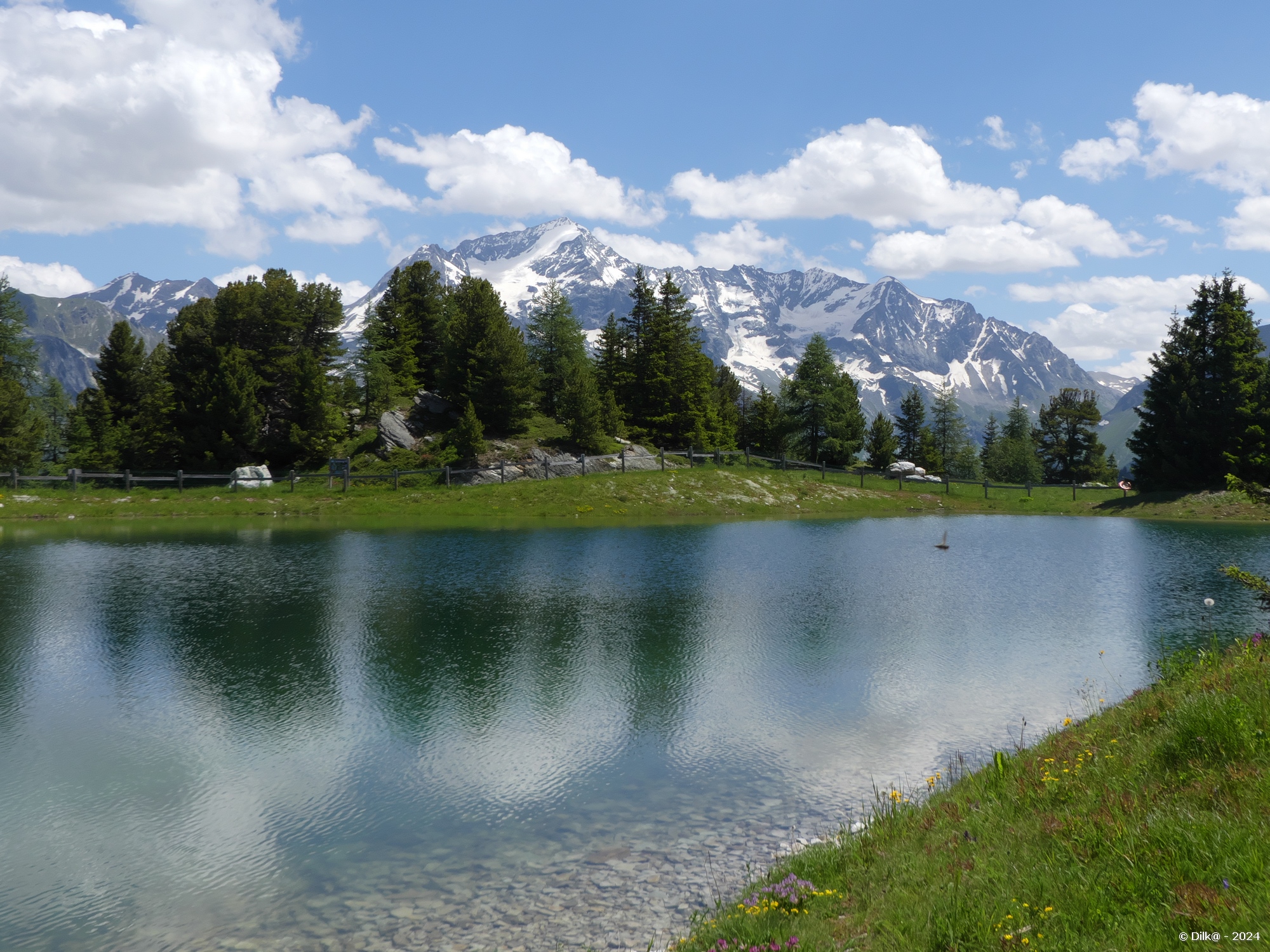 Le Lac des Pierres Blanches à 2108 mètres d'altitude et au fond le Mont Pourri