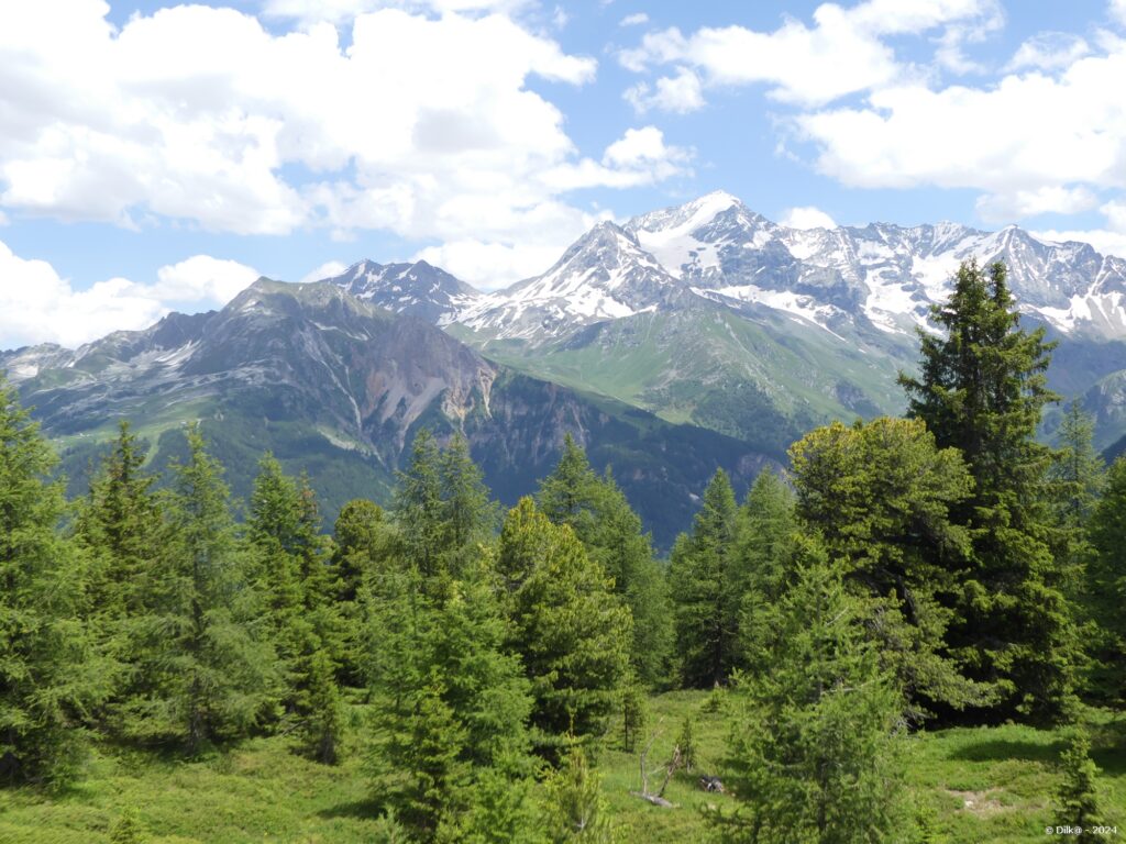 Le Mont Pourri (le plus haut sommet) et l'Aiguille Grive à gauche