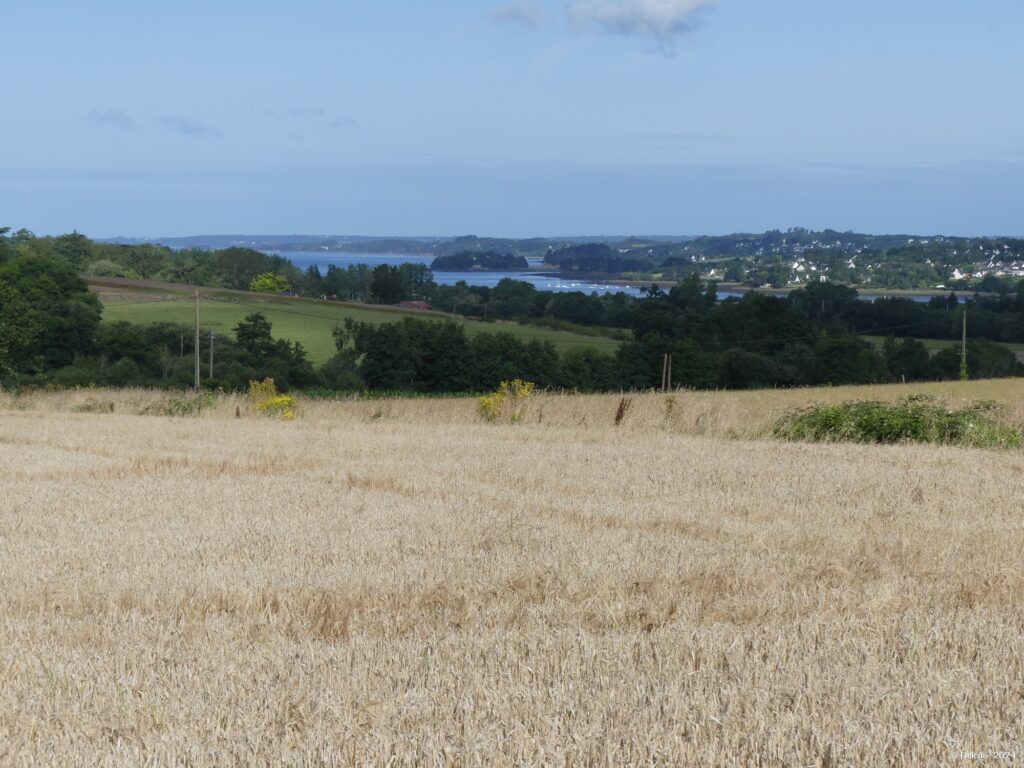 L'Aulne au loin