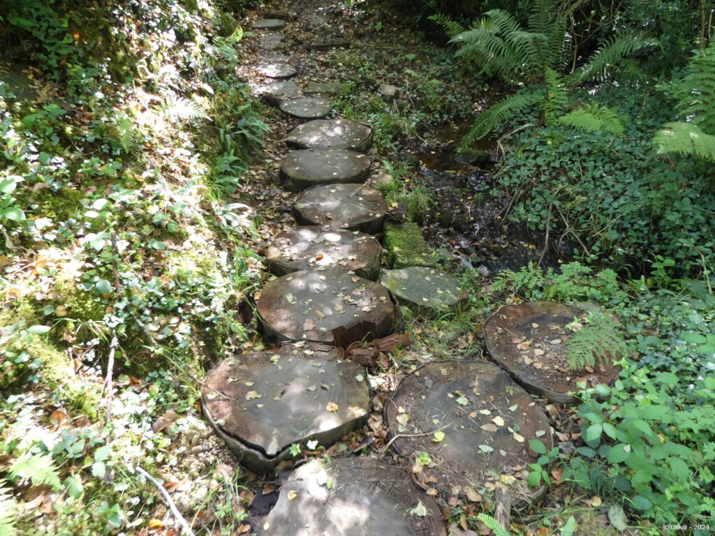 Cercles en bois pour passage boueux