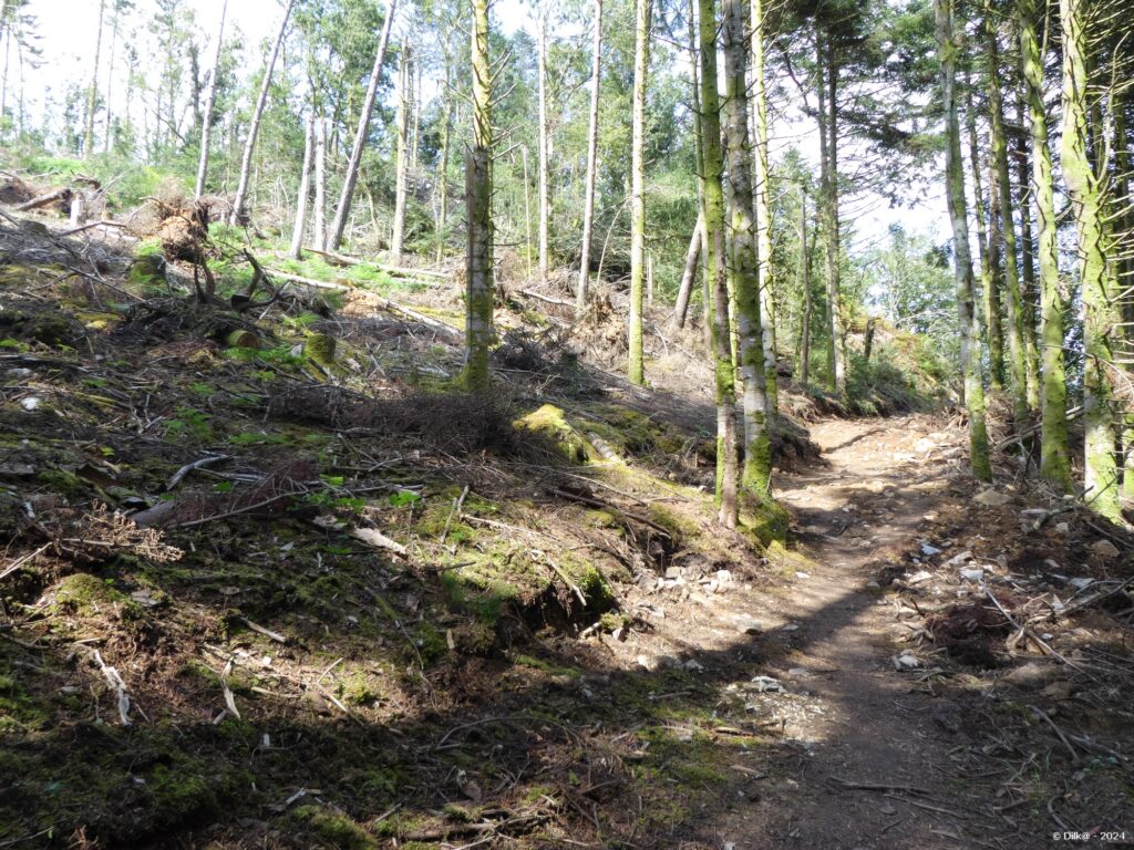 Le sentier endommagé par la tempête Ciaran