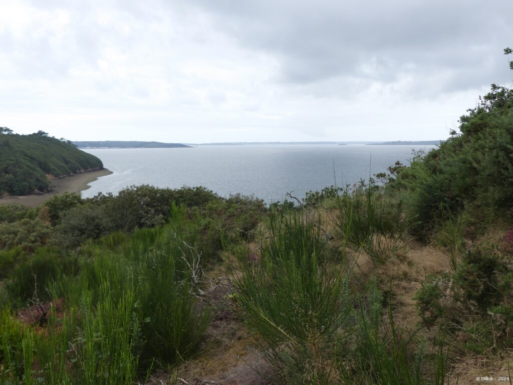 La rade de Brest vue du Loc'h