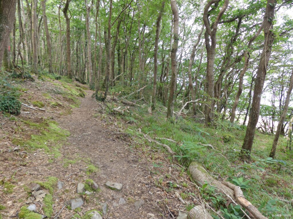 Le chemin monotone au milieu des bois et proche de la rivière de l'Aulne