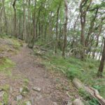 Le chemin monotone au milieu des bois et proche de la rivière de l'Aulne