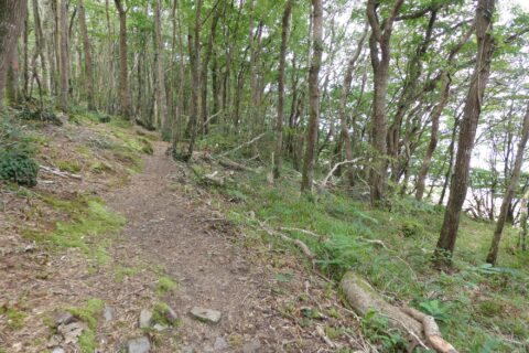 Le chemin monotone au milieu des bois et proche de la rivière de l'Aulne