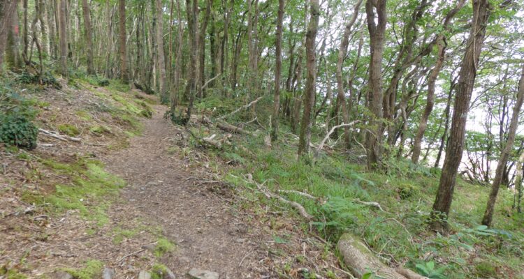 Le chemin monotone au milieu des bois et proche de la rivière de l'Aulne