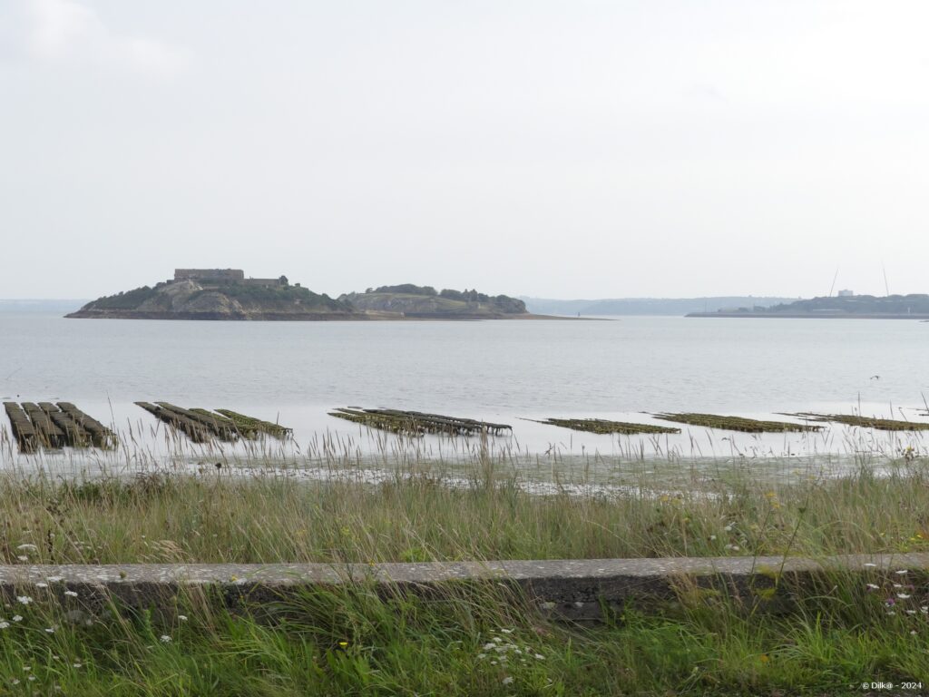 L'île des Morts et l'extrémité de l'île Longue à droite