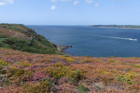 Vue vers la rade de Brest et le phare du Petit Minou