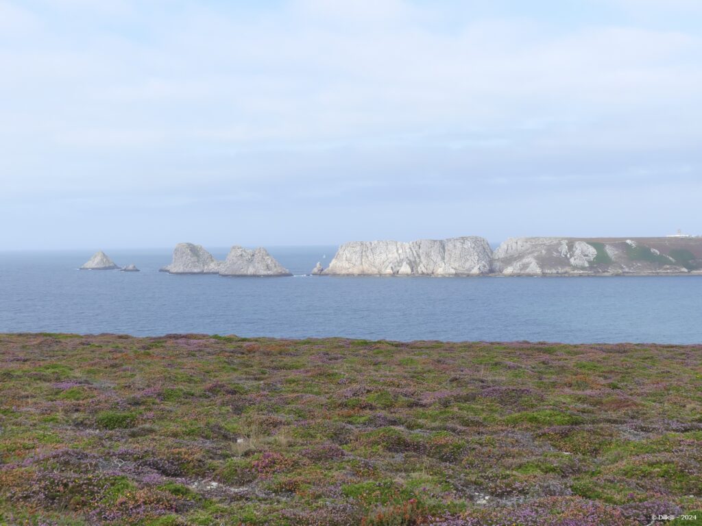 Le Tas de Pois à la pointe de Pen-Hir