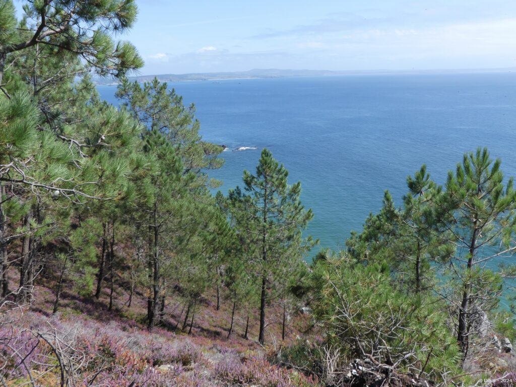 La baie de Douarnenez