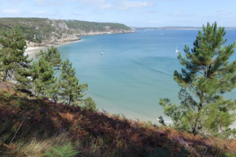 Ambiance méditerranéenne à Crozon !