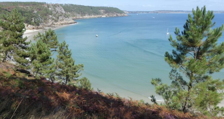 Ambiance méditerranéenne à Crozon !