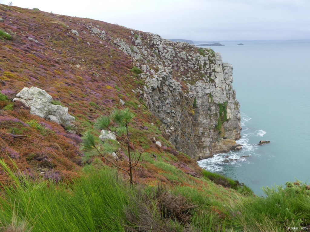 La pointe du Menhir