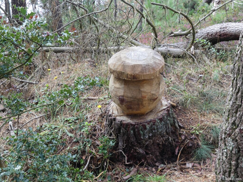 Champignon taillé dans un tronc d'arbre