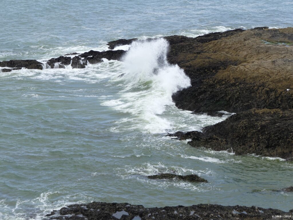 Vagues éclaboussant les rochers