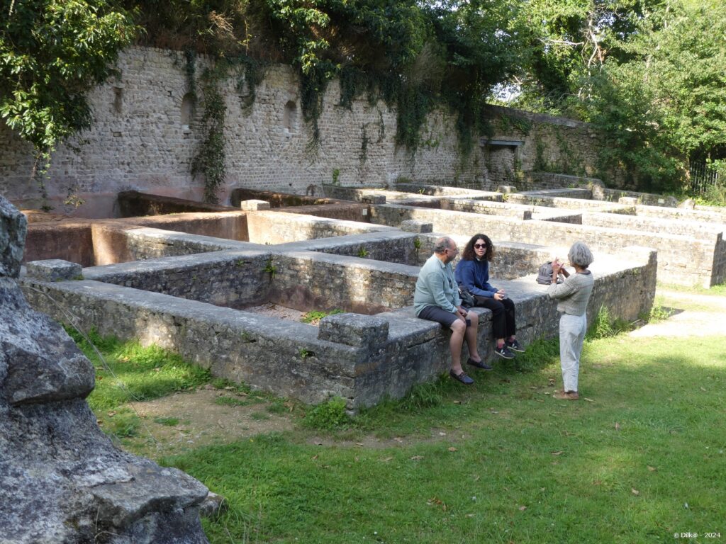 Les cuves à Garum