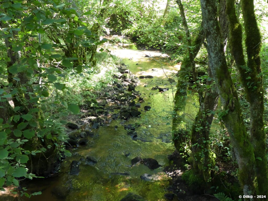 Ruisseau de la Vigne