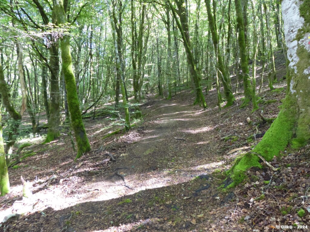 Piste forestière autour de l'éperon rocheux du château du Ventadour