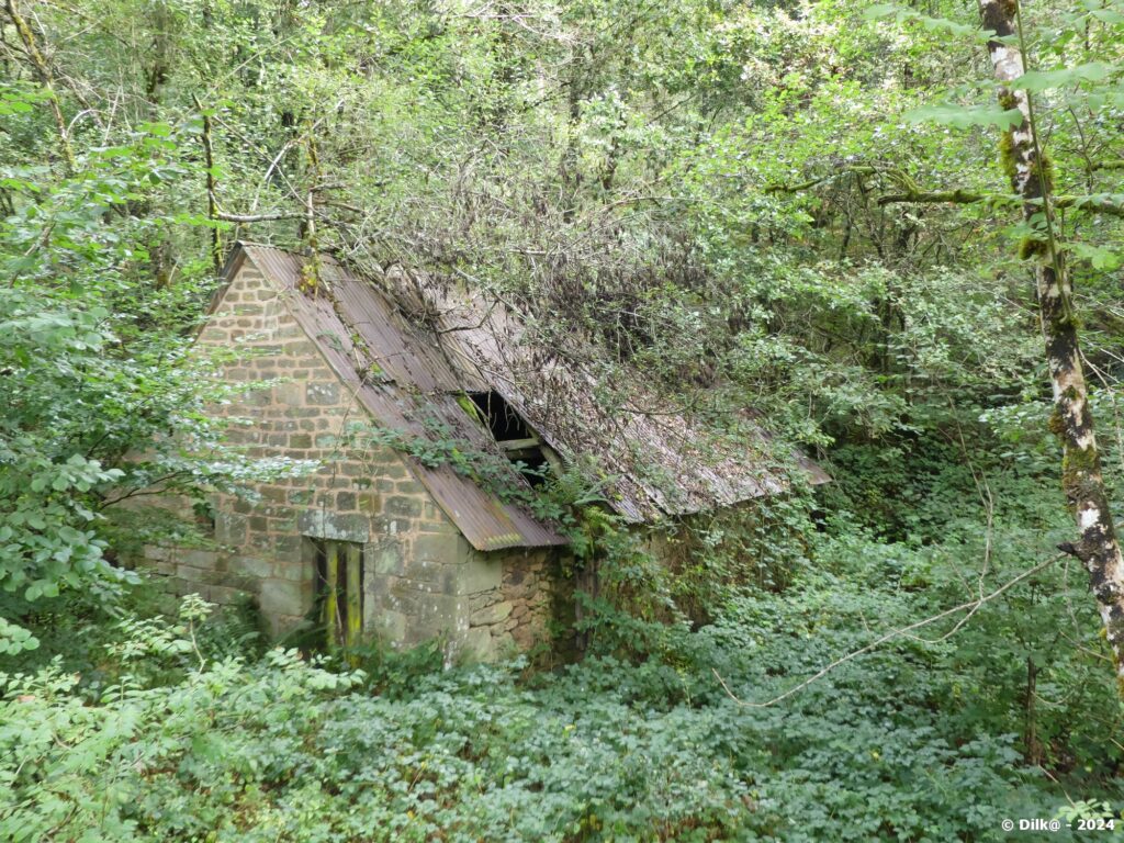 Ruines du moulin du Longy