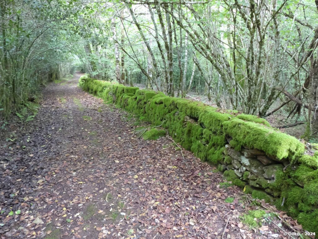 Des murs en pierres longent le chemin