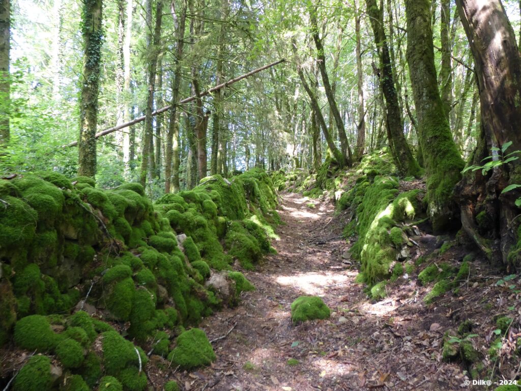 Le sentier est bordé de murets en pierres sèches