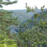 Vue sur les gorges de la Dordogne