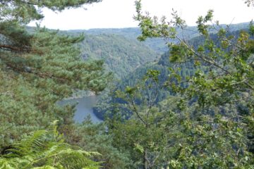 Vue sur les gorges de la Dordogne