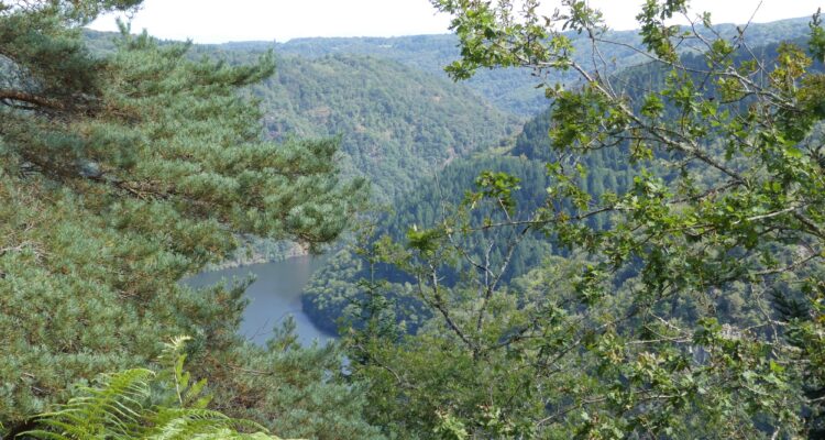 Vue sur les gorges de la Dordogne