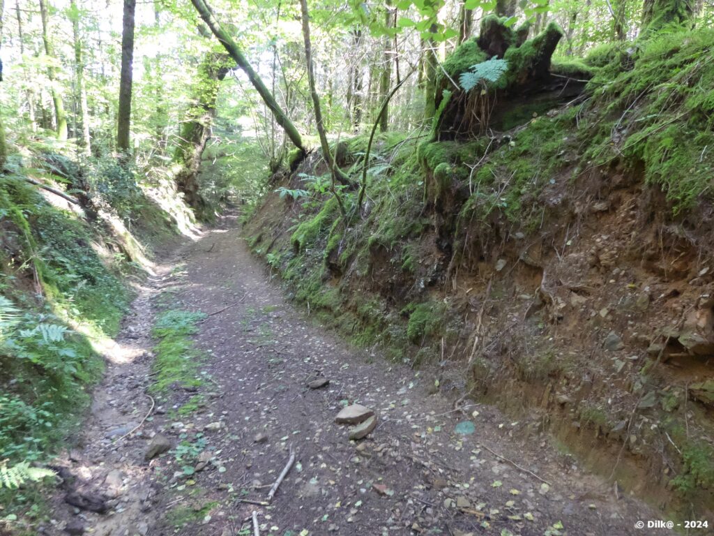 Chemin creux