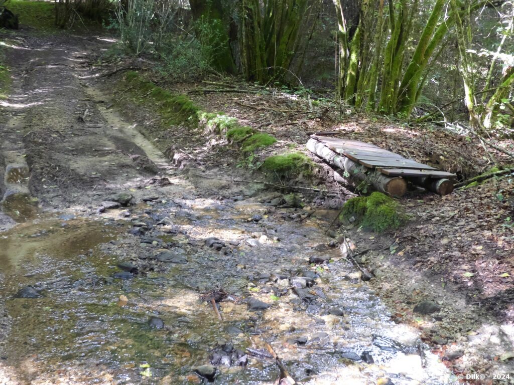 Petite passerelle au bord du chemin