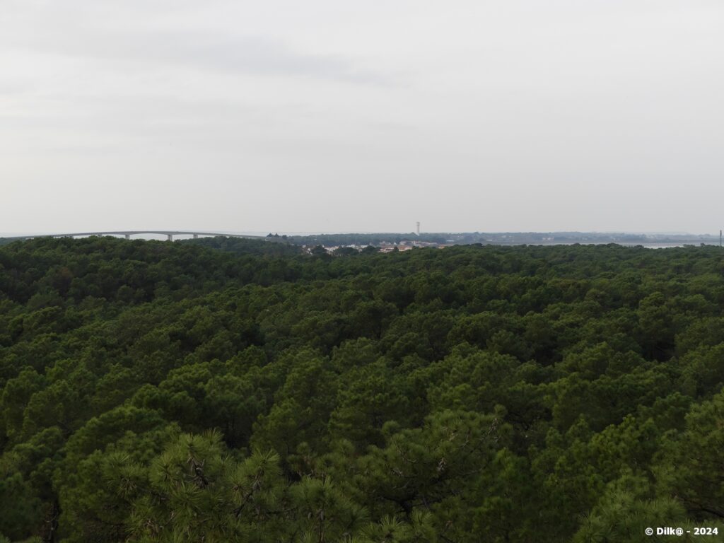 Le pont de Noirmoutier et la forêt des Pays de Monts